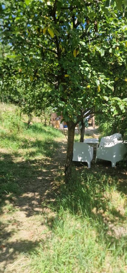 Casageo Cheile Nerei Βίλα Sokolar Εξωτερικό φωτογραφία