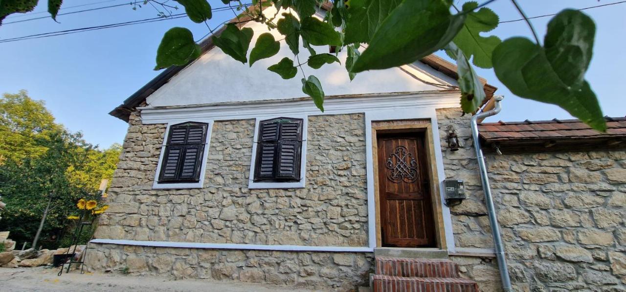 Casageo Cheile Nerei Βίλα Sokolar Εξωτερικό φωτογραφία