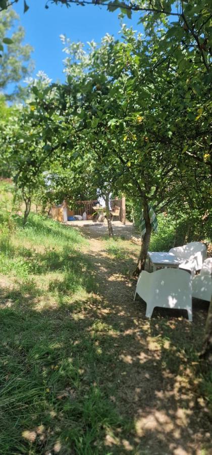 Casageo Cheile Nerei Βίλα Sokolar Εξωτερικό φωτογραφία